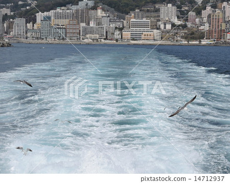 Atami Hatsushima Seagull Atami Hatsushima Seagull 14712937