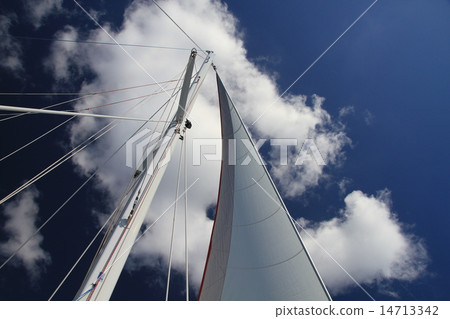 夏威夷夏天帆船藍天 14713342