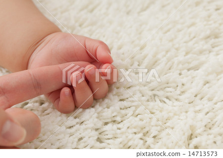 幼兒 嬰兒 寶寶 14713573