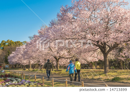 Ashiaka Park 14713899