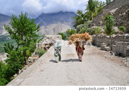 巴基斯坦Hunza Khalimabad Hunza婦女在竹籠中運送莊稼 14713939