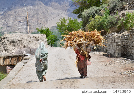 巴基斯坦Hunza Khalimabad Hunza婦女在竹籠中運送莊稼 14713940