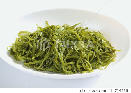 Boyle Mekabu Boyle Mekabu 14714316