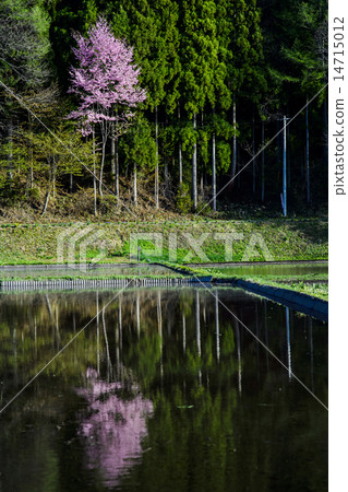 Yu Yamazakura of Shinshu Nakanishi Lake 14715012