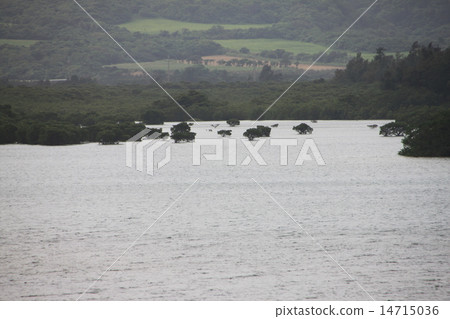 Okinawa in early spring 14715036