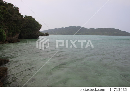 沖繩在早春 14715483