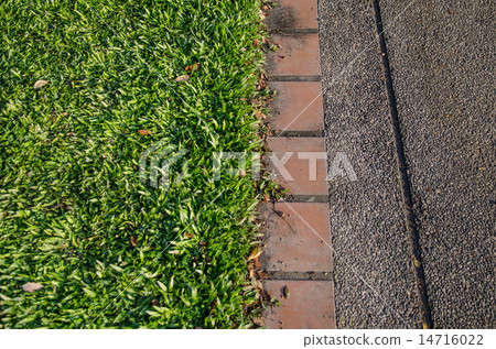 Grass and footpath, topview Grass and footpath, topview 14716022