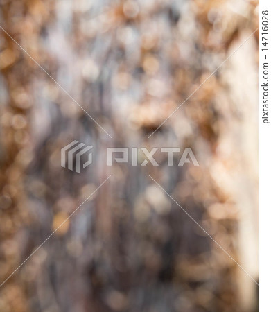 Blurred of tree trunk Blurred of tree trunk 14716028