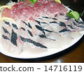 sashimi	 14716119