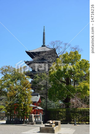 Toji Toji 14716216
