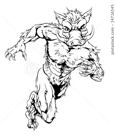 Mean boar character 14716545