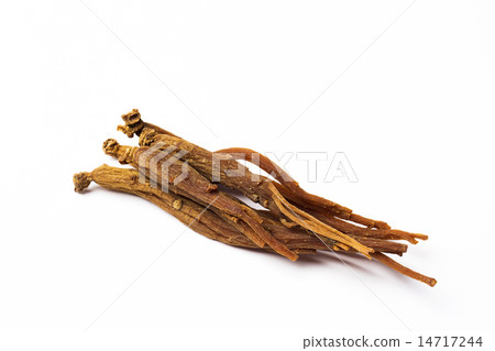 Ginseng 14717244