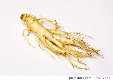 Ginseng 14717367