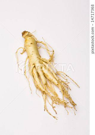 Ginseng 14717368