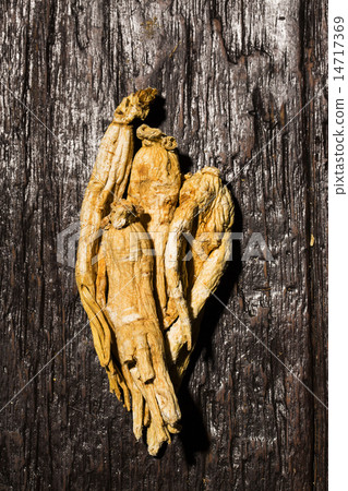 Ginseng 14717369