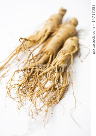 Ginseng Ginseng 14717382