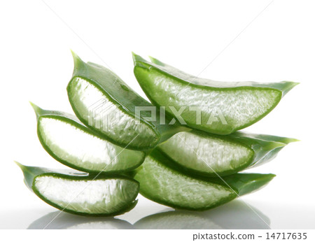 Aloe vera plant isolated on white. 14717635