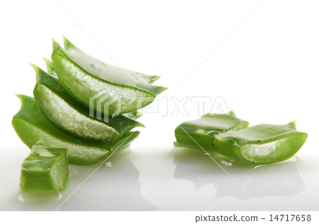Aloe vera plant isolated on white. 14717658