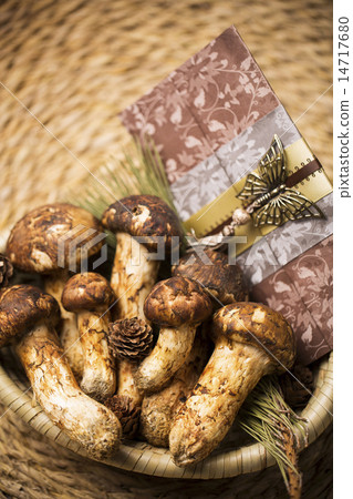 Mushroom Mushroom 14717680
