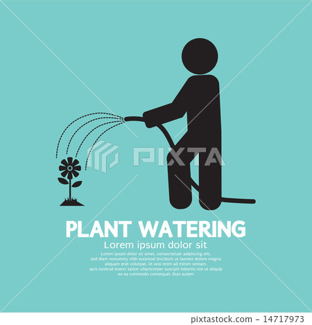 Plant Watering With Rubber Hose Tube Plant Watering With Rubber Hose Tube 14717973