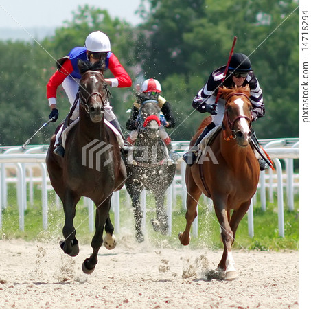Horse racing. 14718294