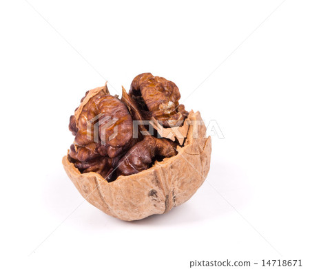 Close up of walnut. Close up of walnut. 14718671