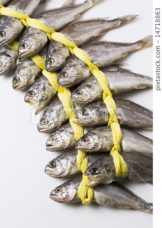 Seafood Seafood 14718863