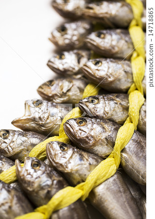 Seafood 14718865