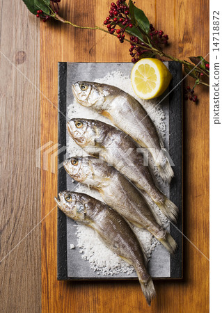 Seafood Seafood 14718872