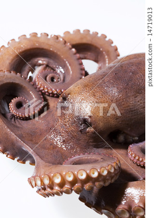 Seafood Seafood 14719013