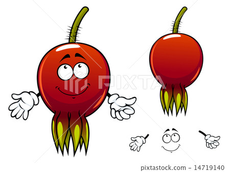 Smiling ripe briar fruit cartoon character Smiling ripe briar fruit cartoon character 14719140