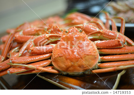 A pine needle in a bed and breakfast 14719353