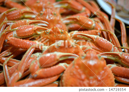 A pine needle in a bed and breakfast 14719354