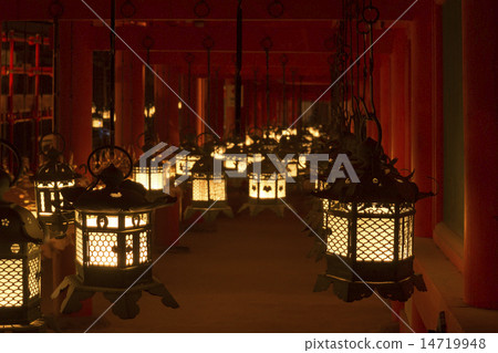 春日大社神社多用途燈籠 春日大社神社多用途燈籠 14719948