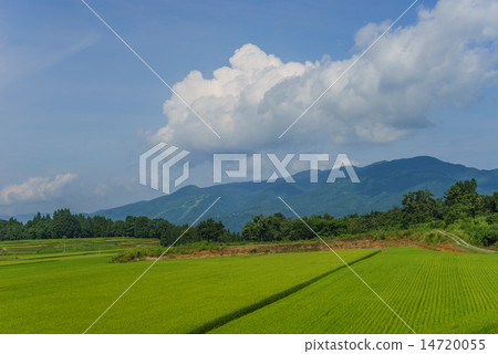 Tsunan鎮鄉下視圖在夏天 14720055