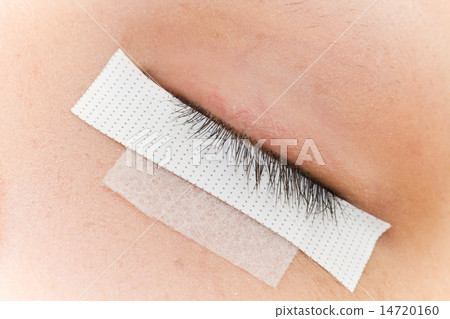 亞洲女人的假睫毛 14720160