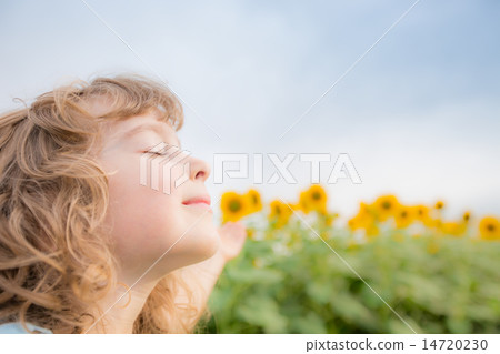 Child in spring field Child in spring field 14720230