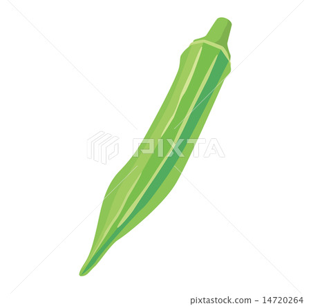 Oroa _ 01 Oroa _ 01 14720264