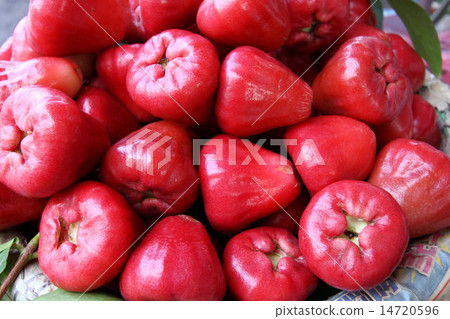 Rembu Renzu 14720596