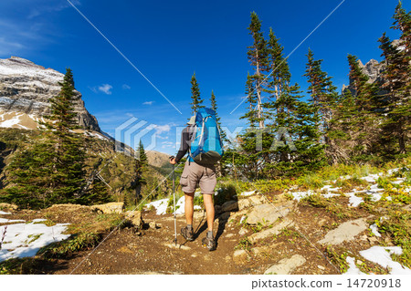 Hike in Glacier 14720918