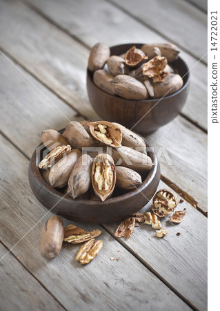 Pecan Pecan 14722021