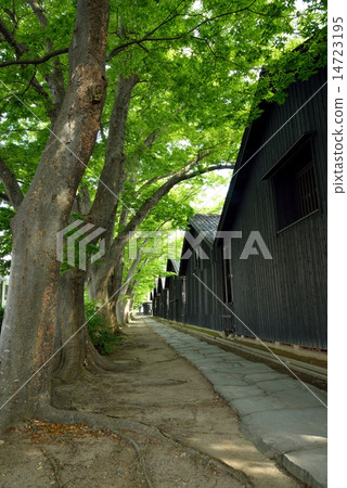 Sakata / Yamao倉庫 14723195