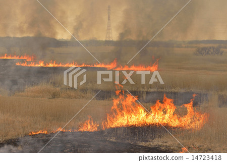 Yoshi-yaki - Flame burning Yoshihara ① 14723418