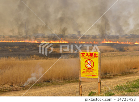 Yoshi-yaki  - 沒有擅自闖入 14723458