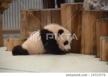 Baby baby to hi hi 14723579