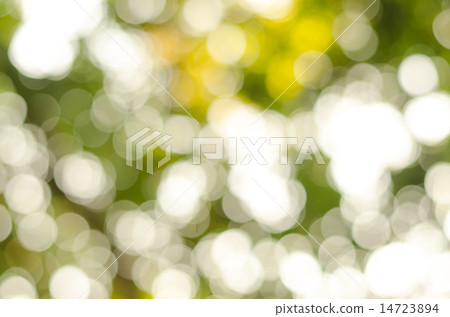Abstract nature blur 14723894
