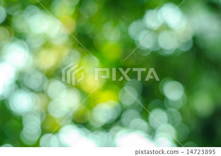 Abstract nature blur 14723895