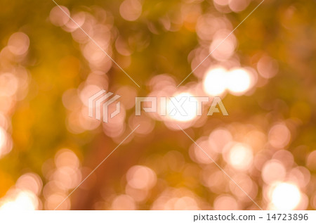Abstract nature blur 14723896