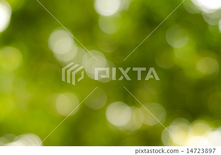 Abstract nature blur Abstract nature blur 14723897