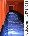 Senbon Torii of Fushimi Inari Taisha Shrine Senbon Torii of Fushimi Inari Taisha Shrine 14724068